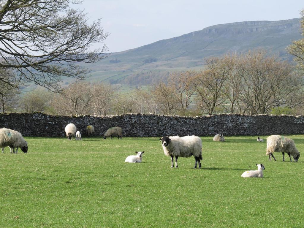 Thornton Lodge Aysgarth Oda fotoğraf